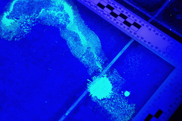 Ultra violet developing of bloody foot print and stains
