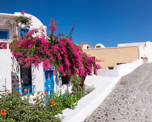 House decorated with red flowers in Oia, Santorini, Greece