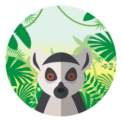 Lemur on the Jungle Background