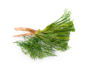 fresh dill on white background