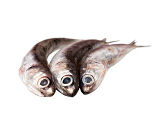 raw anchovies