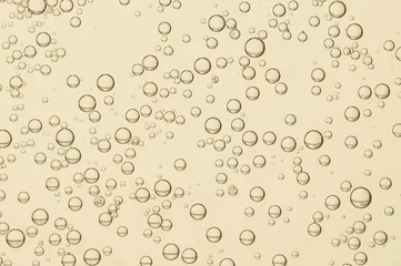 Gardinen Champagne bubbles © dkidpix