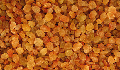 White grape small raisin close up background