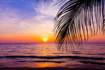sunset landscape. beach sunset.  palm trees silhouette on sunset © EwaStudio