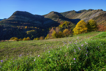Meadow and forest under de Courel range