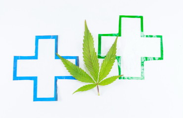 Cannabis plant and medical sign.