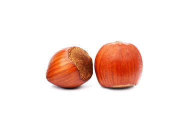 Group healty hazelnuts isolated on white background