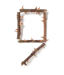 9 nine figure composed of thorny rose stems