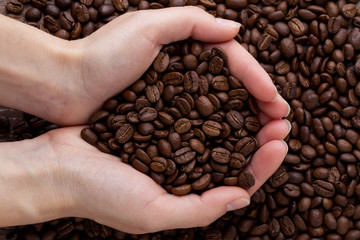 The coffee beans in a hands
