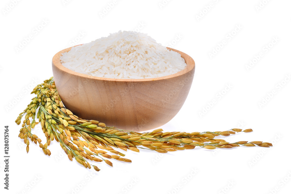 Poster white rice (Thai Jasmine rice) and unmilled rice isolated on whi