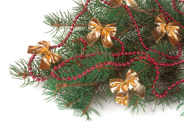 branch of Christmas tree with short needles decorated red beads and bows isolated on white background