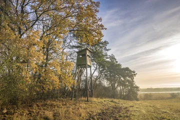 Papier Peint photo autocollant Chasser matin d& 39 automne brumeux sur la vallée, tour de chasse à la lisière de la forêt
