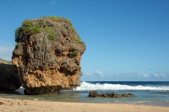 Old Man By The Sea In Saipan Island