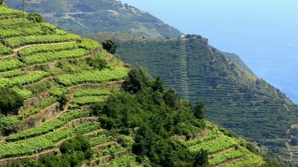 Les collines de Ligurie et le village de Manarola