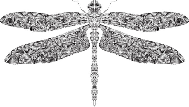 Zentangle stylized dragonfly . Hand-drawn vector illustration.