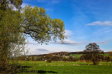 Obraz premium Frühling in der Wetterau