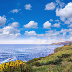 View over coastline of Scottish Borders