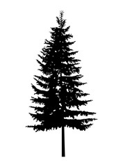 Silhouette of pine tree. Can be used as poster, badge, emblem, banner, icon, sign, decor...