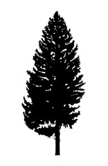 Fototapeta premium Silhouette of pine tree. Can be used as poster, badge, emblem, banner, icon, sign, decor...