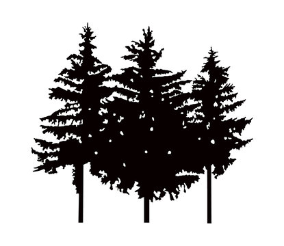 Image silhouette of three pine trees. Can be used as poster, badge, emblem, banner, sign, decor, icon...