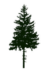 Silhouette of pine tree. Can be used as poster, badge, emblem, banner, icon, sign, decor...