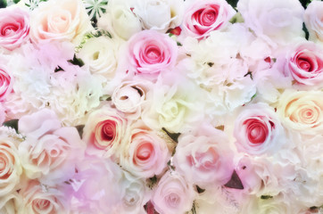 Blurred of sweet roses in pastel color style on soft blur bokeh texture for background