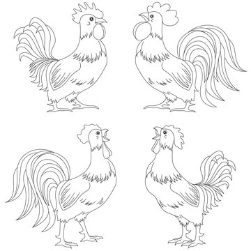 Set of four funny Rooster outlines
