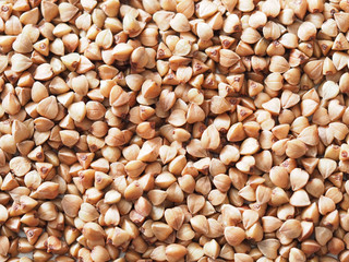 grain buckwheat background