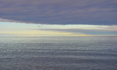 Doradillo beach in Puerto Madryn, Chubut, Argentina.