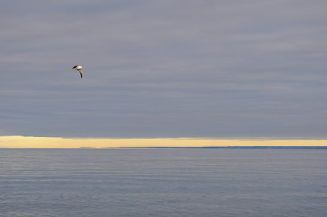 Doradillo beach in Puerto Madryn, Chubut, Argentina.