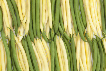 Fototapeta premium green and yellow bean