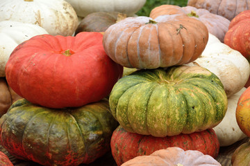 Pumpkins at Halloween and pumpkin market in USA.