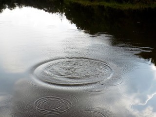 Fototapeta na wymiar Ripples on water surface on lake