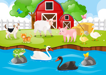 Obraz premium Farm animals living in the farm