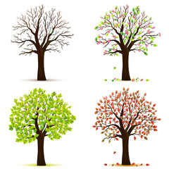 Naklejka premium Wektor drzewa cztery pory roku