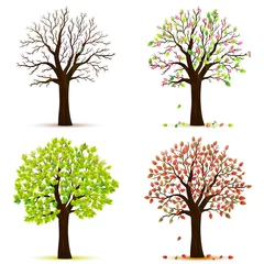 Fotobehang Four seasons trees vector © maribom