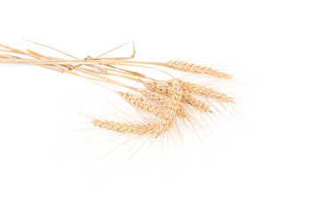 Obraz premium ears of wheat isolated on white