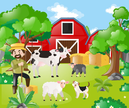 Farmer and farm animals in the field