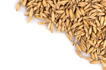 Gordijnen natural oat grains background, closeup © VertigoBarrov