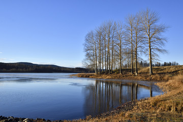 Fototapeta na wymiar View over calm water in a lake with little thin ice blue sky and some tree standing near the shore, picture from the North of Sweden.
