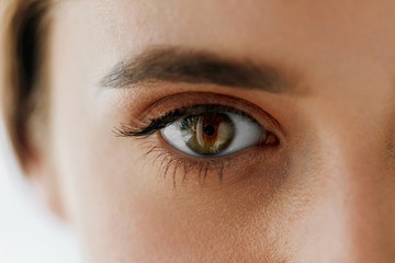Closeup Of Beautiful Girl Eye And Eyebrow With Natural Makeup