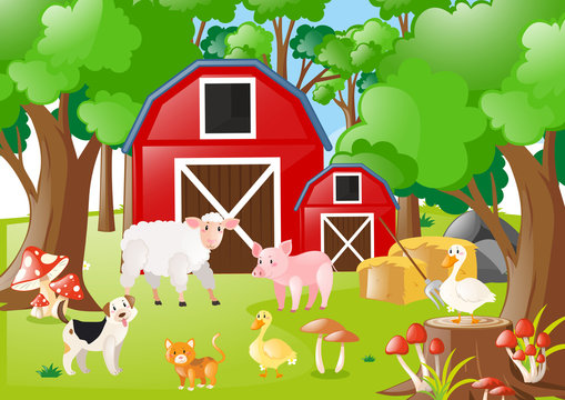 Farm animals in the field