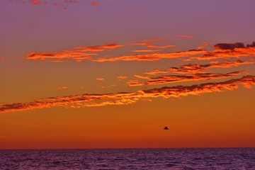 Amazing sunset over the Pacific Ocean, California