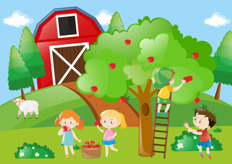 Obraz na płótnie Canvas Children picking the apples from the tree