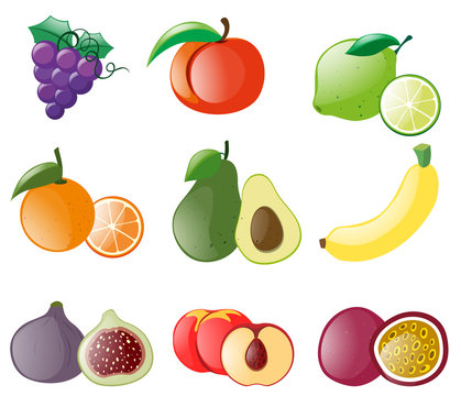 Different types of fresh fruits