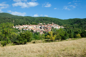 Fototapeta na wymiar vue du village de Arles sur Tech