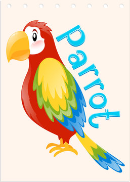 Wordcard with word and picture parrot