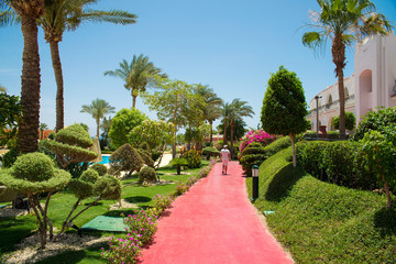 Fototapeta premium beautiful park with flowers and palm trees in the summer 