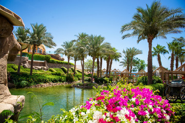 beautiful park with flowers and palm trees in the summer 