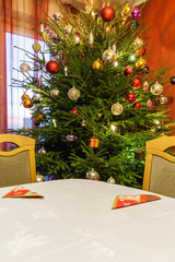 Christmas tree in the room.
